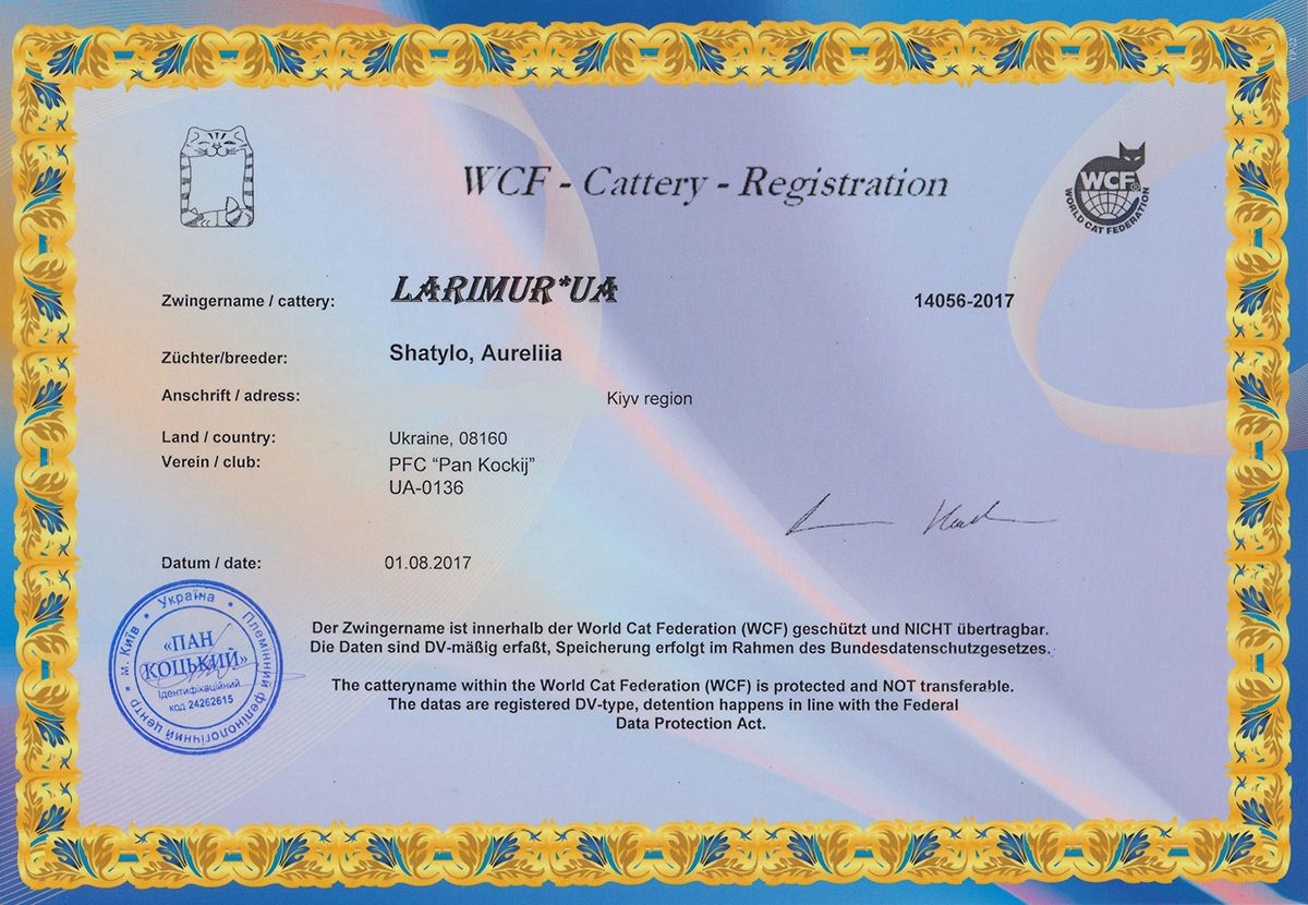 Сертификат питомника невских маскарадных кошек Larimur/Ларимур
